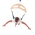 Bungee Frog Swing